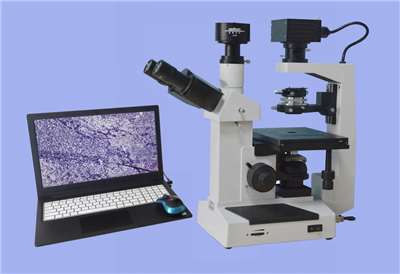 ������΢��XDS-200C