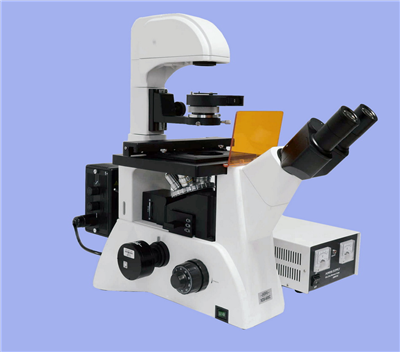 �����͵���ӫ����΢��XDS-600C