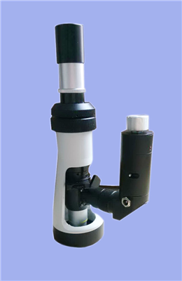 �ֳ�������΢��BJ-X