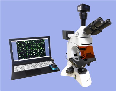 ����ӫ����΢��DFM-66C