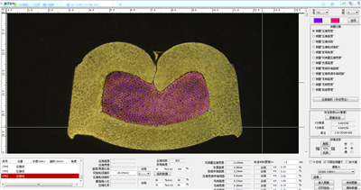 DZ-3000���ӷ�������/���߶��ӽ������/����ѹ�ӷ�������
