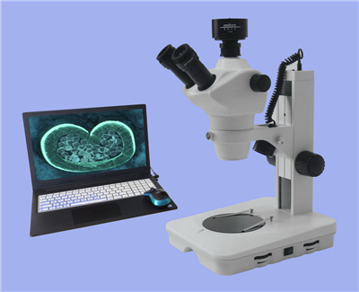 ��������Ŀ������΢��ZOOM-600C