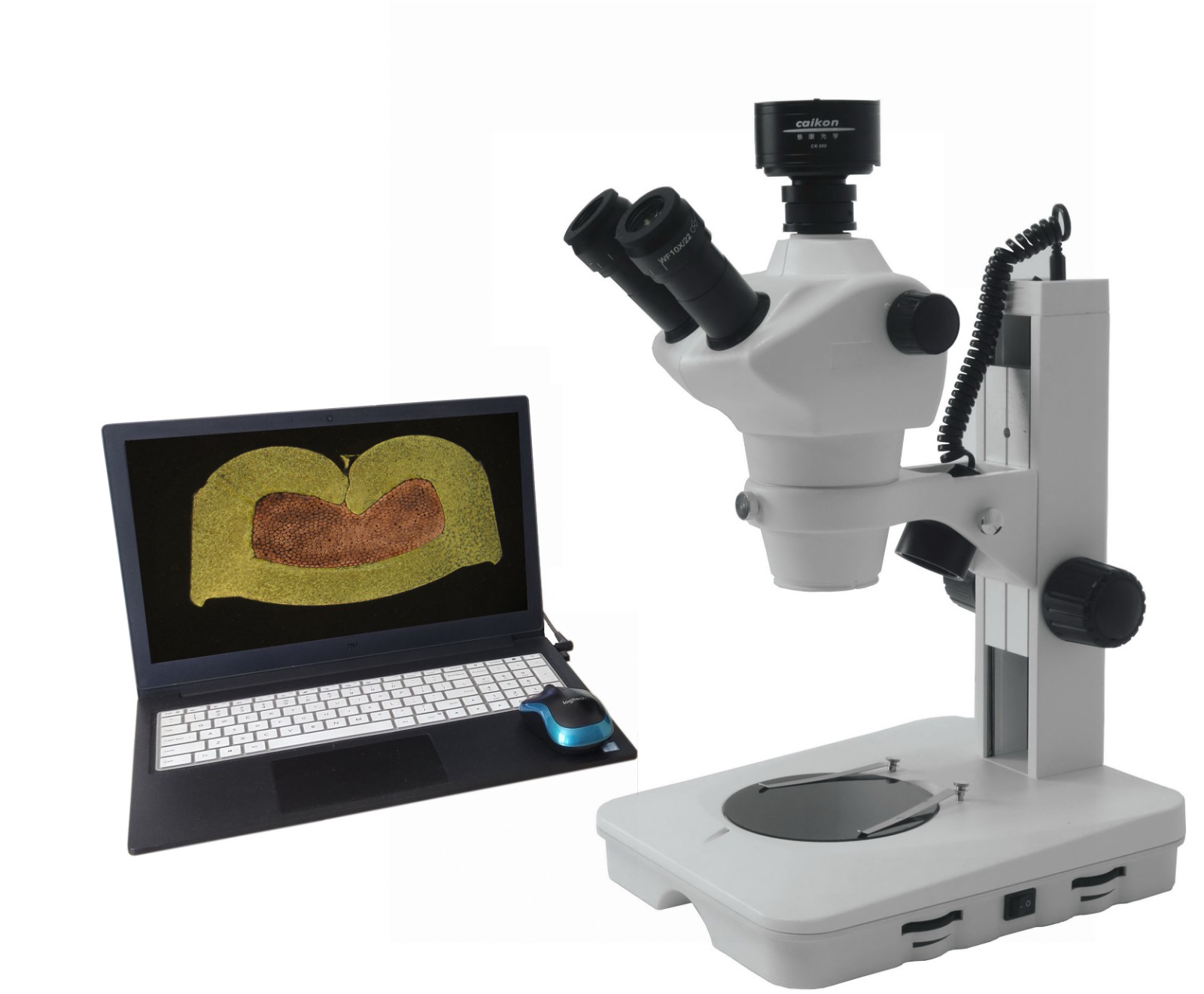 ZOOM-600C 端子2.jpg